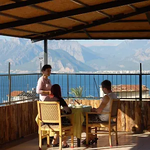 https://hotel-twenty.allantalyahotels.org